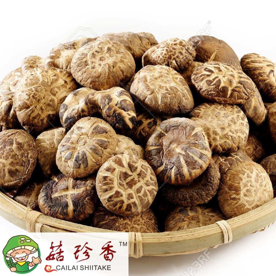 Premium dried shiitake mushroom with low price